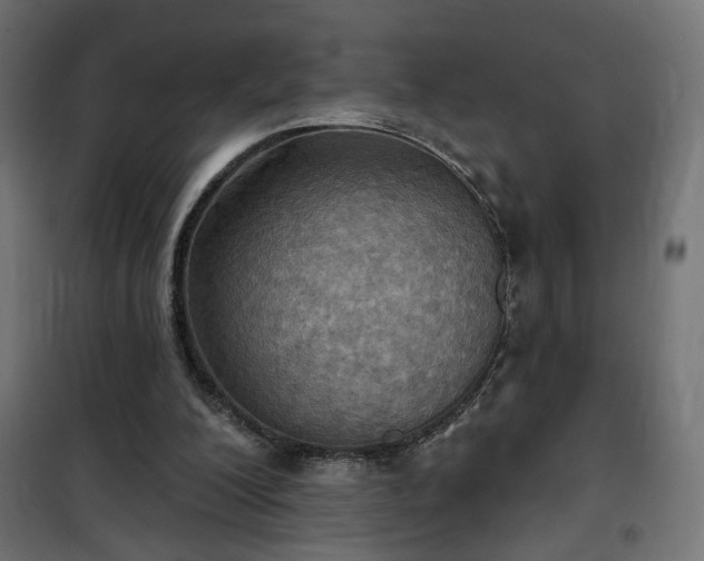 X0000100470200200806201614