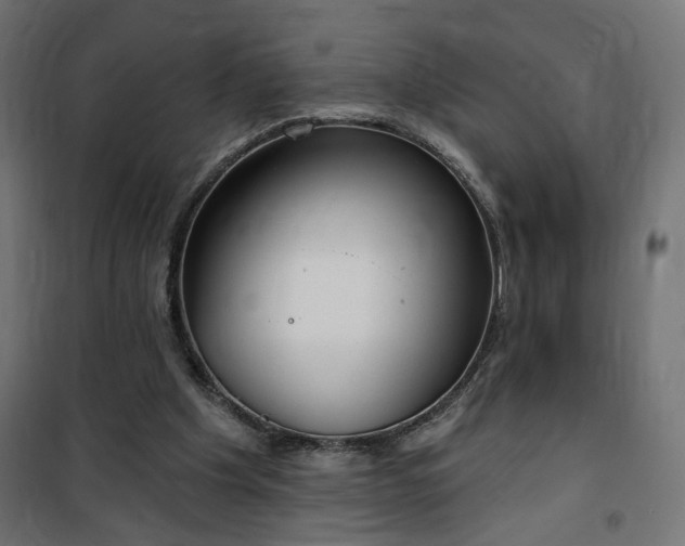 X0000100470201200806201614