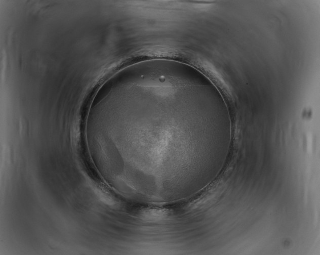 X0000100470202200806201614