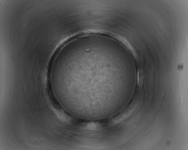 X0000100470204200806201614