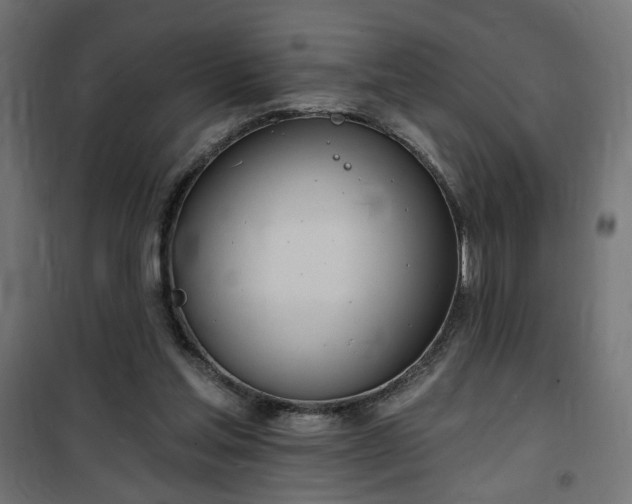 X0000100470205200806201614