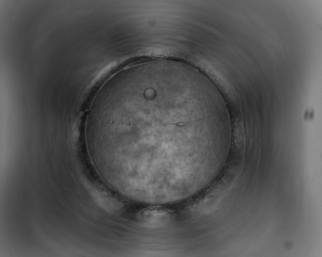 X0000100470208200806201614