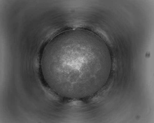 X0000100470210200806201614