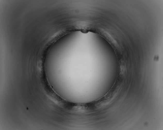 X0000100470211200806201614