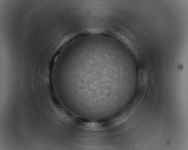 X0000100470212200806201614