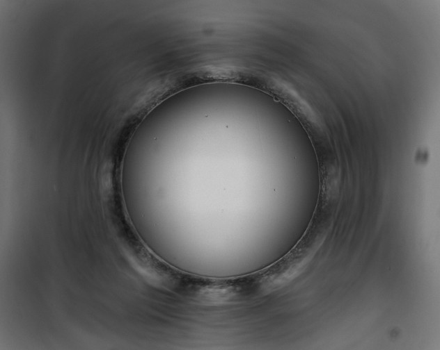 X0000100470213200806201614