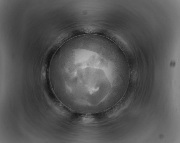 X0000100470214200806201614