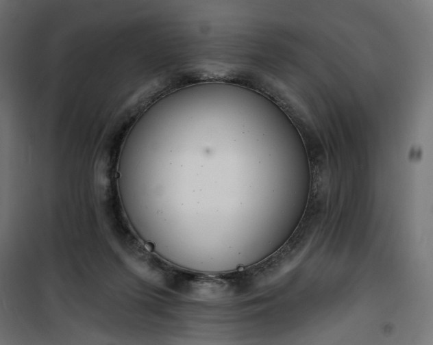 X0000100470215200806201614