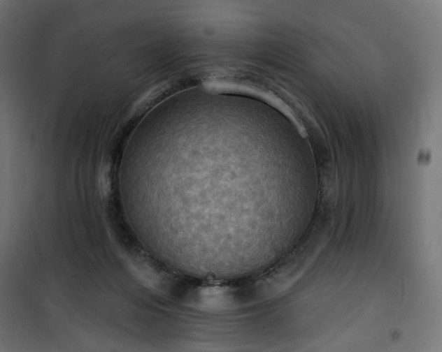 X0000100470216200806201614