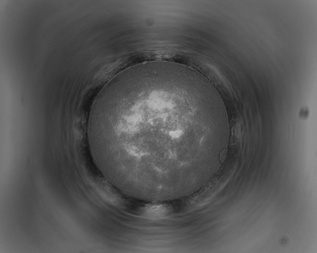 X0000100470218200806201614