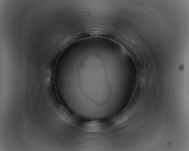 X0000100470219200806201614