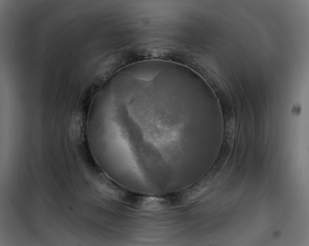 X0000100470222200806201614