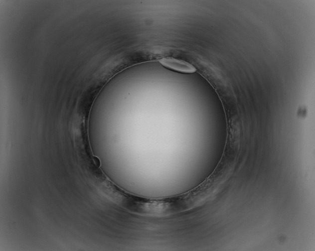 X0000100470225200806201613