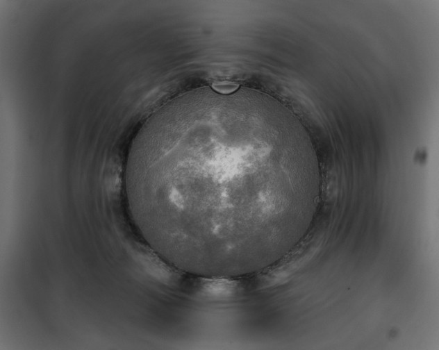 X0000100470226200806201613