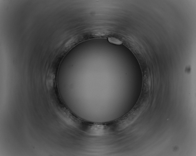 X0000100470227200806201613