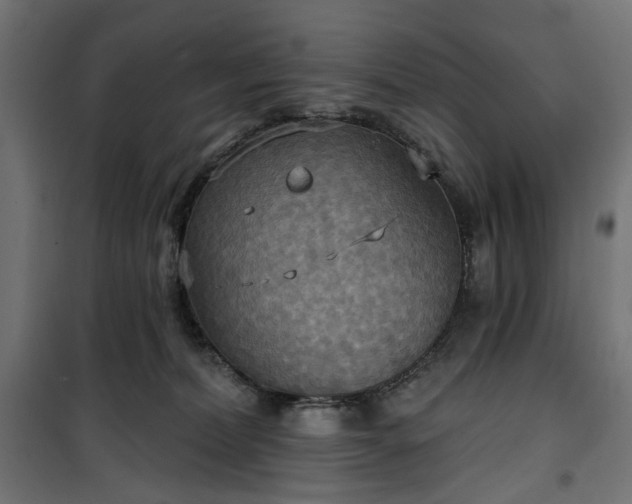 X0000100470228200806201613