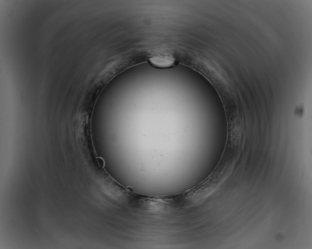 X0000100470229200806201613