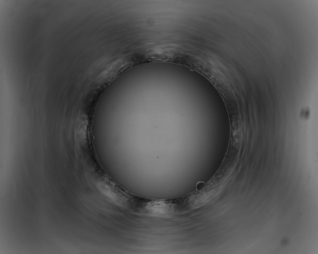 X0000100470231200806201613