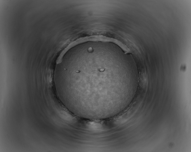 X0000100470232200806201613