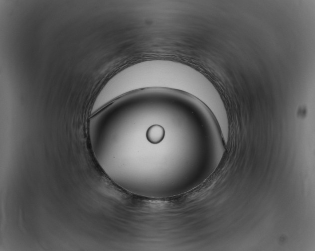 X0000100470233200806201613