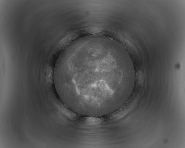 X0000100470234200806201613