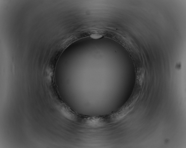 X0000100470235200806201613