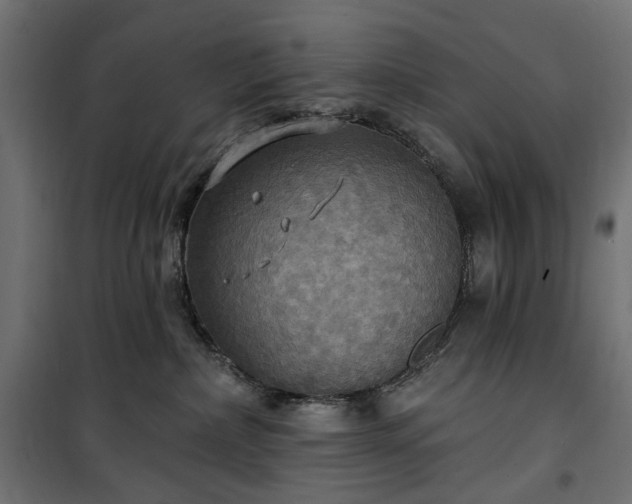 X0000100470236200806201613