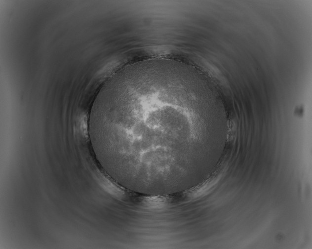 X0000100470238200806201613