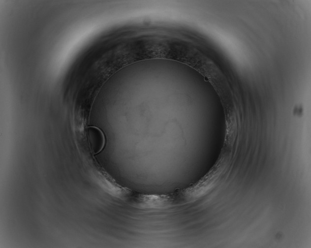 X0000100470239200806201613