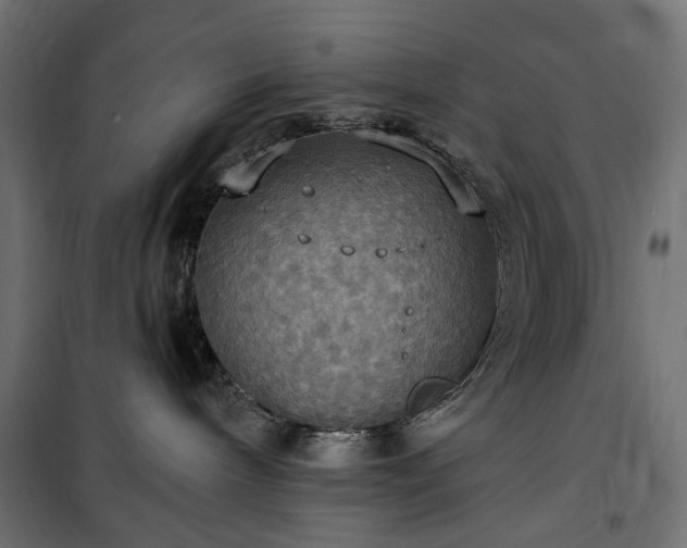 X0000100470240200806201613