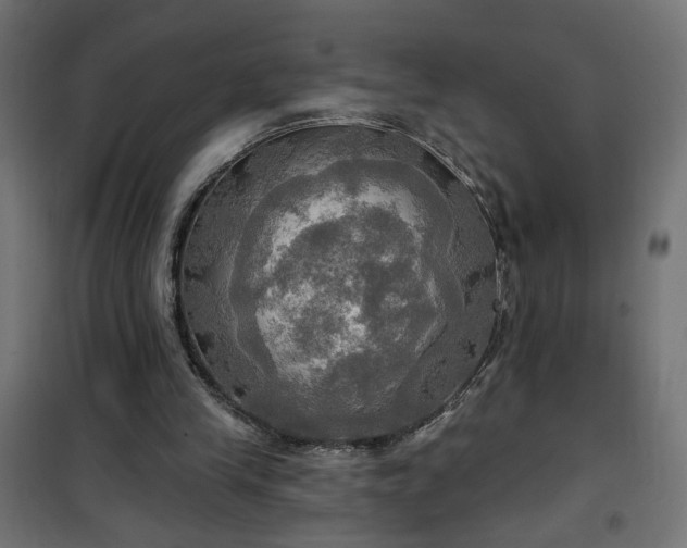 X0000100470245200806201613