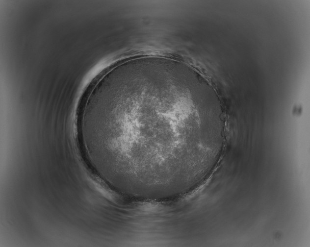 X0000100470246200806201613