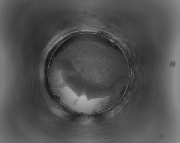 X0000100470247200806201613