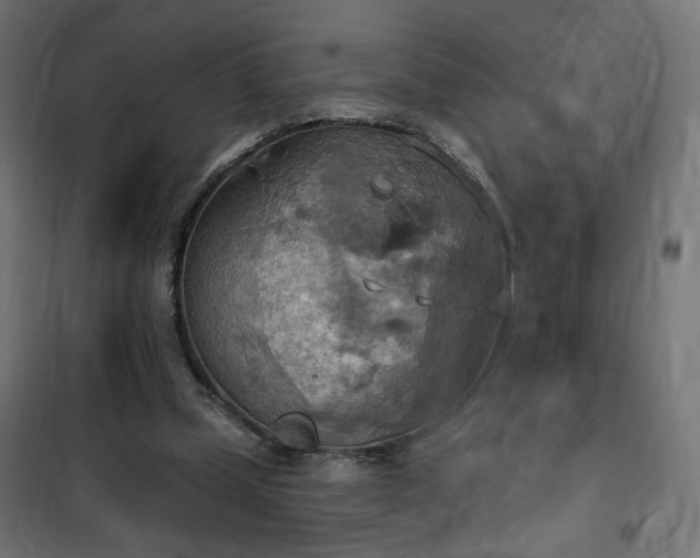 X0000100470249200806201613