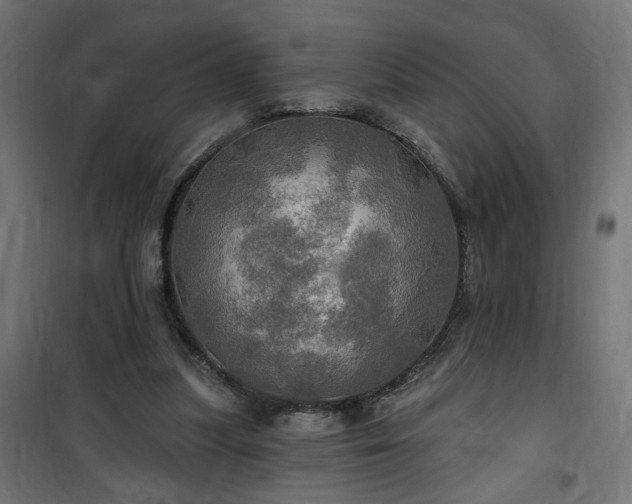 X0000100470251200806201613