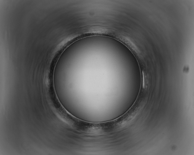 X0000100470252200806201613