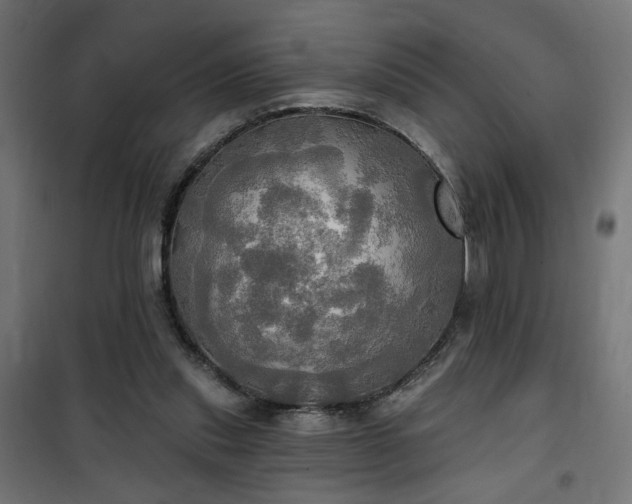 X0000100470253200806201613