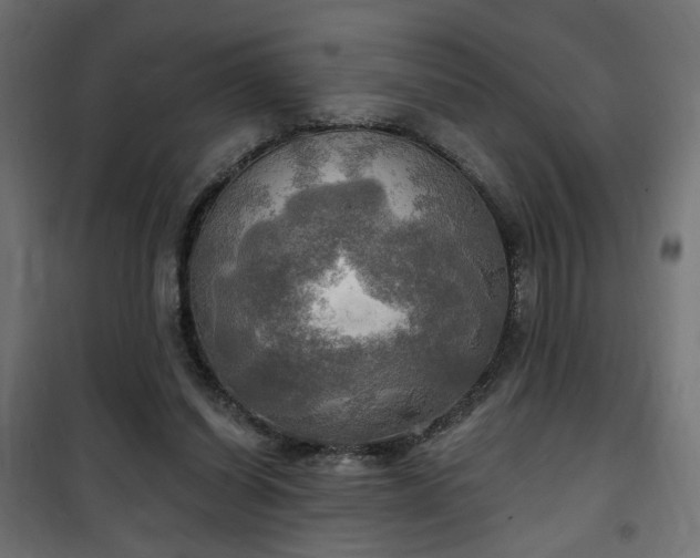 X0000100470254200806201613