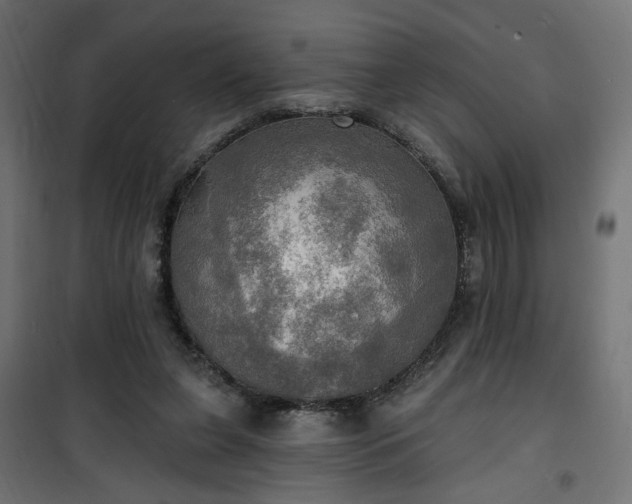 X0000100470255200806201613