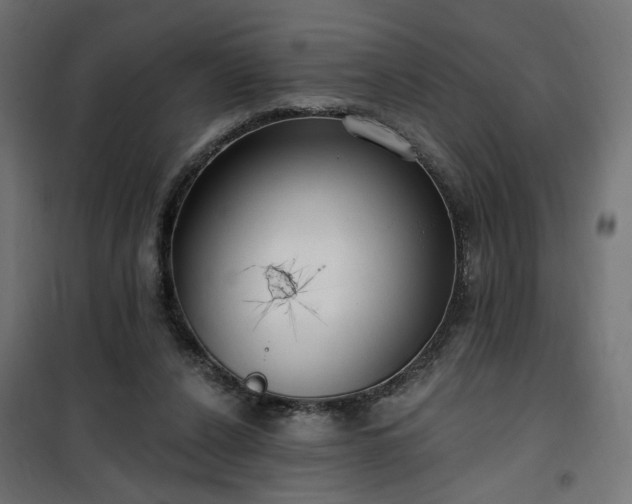 X0000100470256200806201613