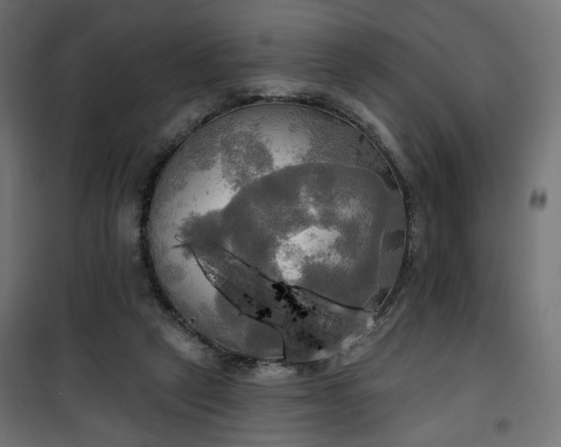 X0000100470257200806201613