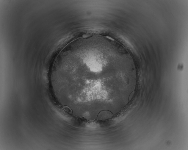 X0000100470258200806201613