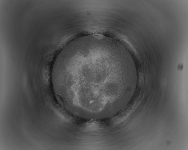 X0000100470259200806201613