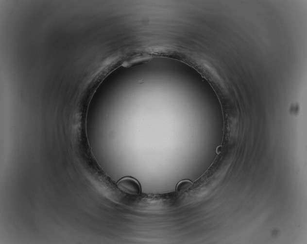 X0000100470260200806201613