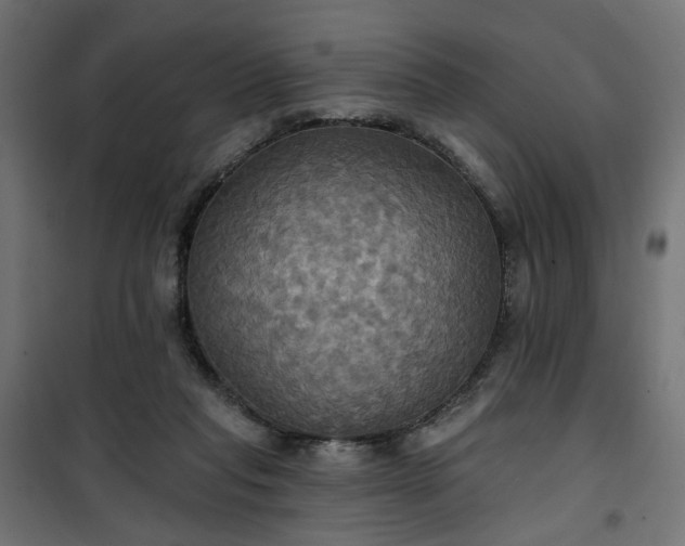 X0000100470261200806201613