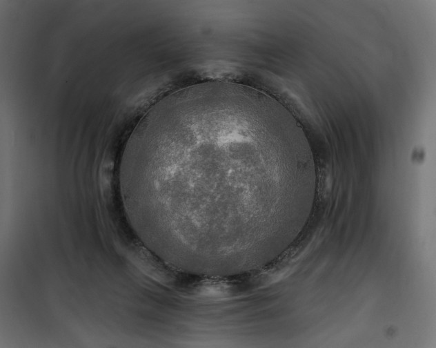 X0000100470263200806201613