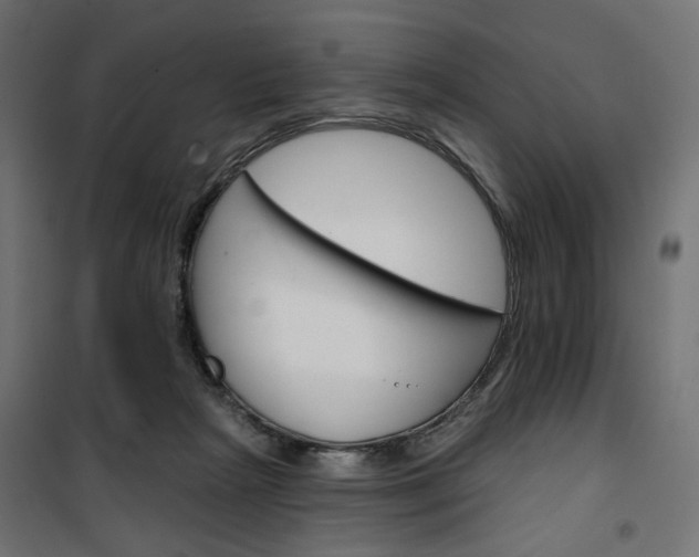 X0000100470265200806201613