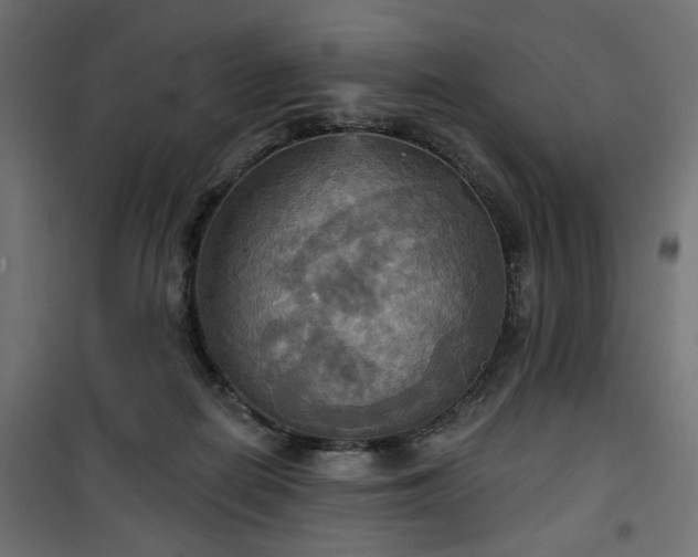 X0000100470266200806201613