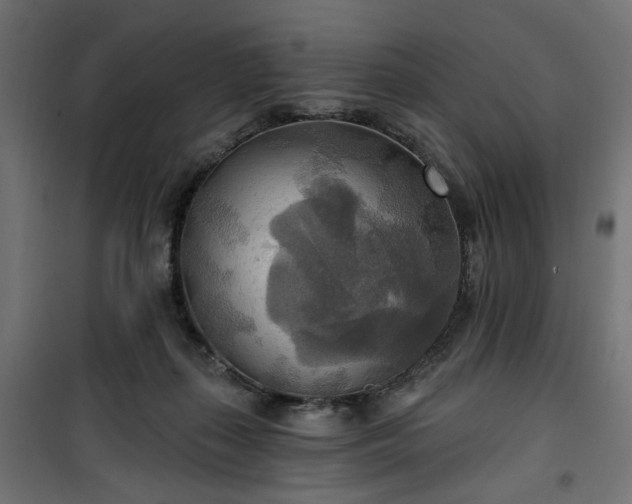 X0000100470267200806201613