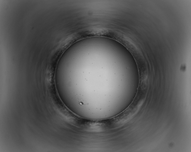 X0000100470268200806201613